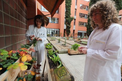 Las dos profesionales artífices de esta iniciativa terapéutica.