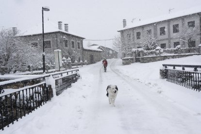 Un perro disfruta de la nieve en Lillo.