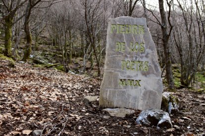 Cada verano, la Piedra de los Poetas acoge el festival literario más singular del Bierzo, donde los versos se recitan entre líquenes y raíces.