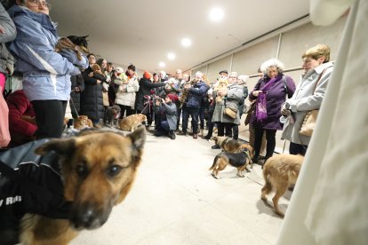 Festividad de San Antón en la iglesia de La Rosaleda de Ponferrada