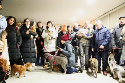 Festividad de San Antón en la iglesia de La Rosaleda de Ponferrada