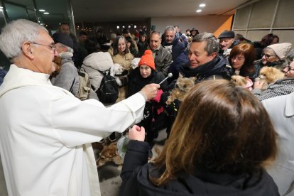 Festividad de San Antón en la iglesia de La Rosaleda de Ponferrada