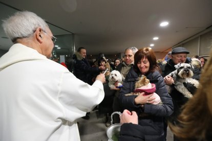 Festividad de San Antón en la iglesia de La Rosaleda de Ponferrada