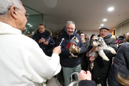 Festividad de San Antón en la iglesia de La Rosaleda de Ponferrada