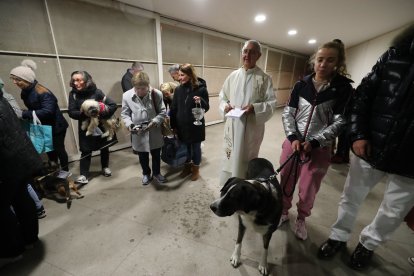 Festividad de San Antón en la iglesia de La Rosaleda de Ponferrada