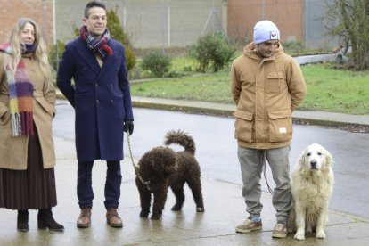 Fiesta de San Antón en la provincia de León.