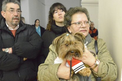 Fiesta de San Antón en la provincia de León.