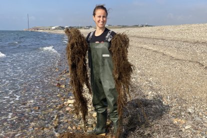 La investigadora leonesa Natalia Prieto con el sargazo.