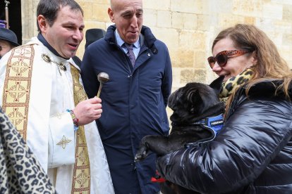 Bendición de San Antón a los animales en León.