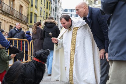 Bendición de San Antón a los animales en León.