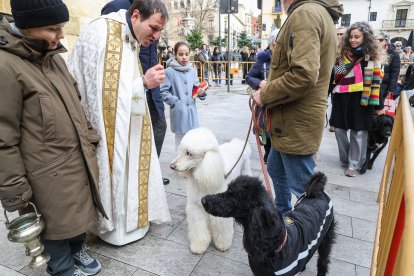 Bendición de San Antón a los animales en León.
