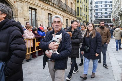 Bendición de San Antón a los animales en León.