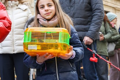 Bendición de San Antón a los animales en León.