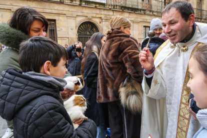 Bendición de San Antón a los animales en León.