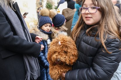 Bendición de San Antón a los animales en León.