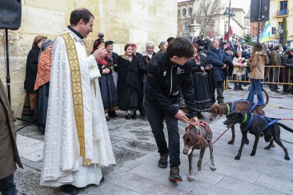 Bendición de San Antón a los animales en León.
