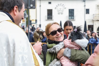Bendición de San Antón a los animales en León.