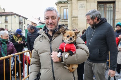 Bendición de San Antón a los animales en León.