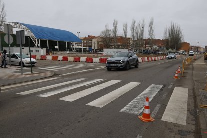 La glorieta se construirá en gran parte del parque del Cardadal.