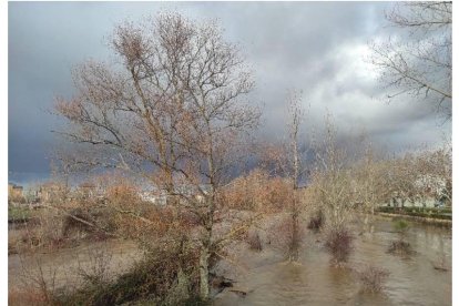 Crecida de los ríos Bernesga y Torío en León.