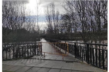 Crecida de los ríos Bernesga y Torío en León.