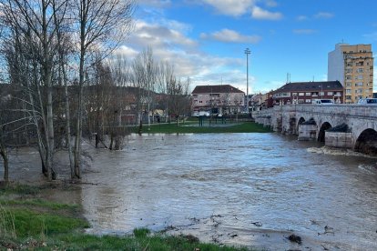 Crecida de los ríos Bernesga y Torío en León.