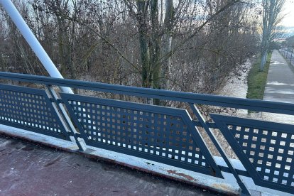 Crecida del río Torío en su paso por Puente Castro (León).