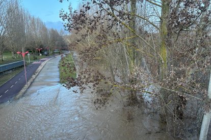 Crecida del río Torío en su paso por Puente Castro (León).