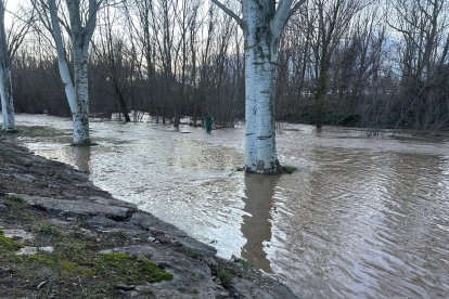 Crecida del río Torío en su paso por Puente Castro (León).