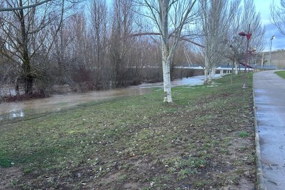 Crecida del río Torío en su paso por Puente Castro (León).
