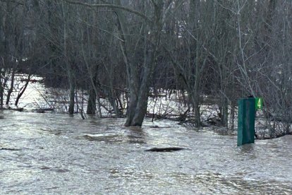Crecida del río Torío en su paso por Puente Castro (León).