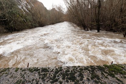 Crecida del río en Vega de Gordón.