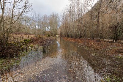 Crecida del río en Vega de Gordón.