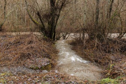 Crecida del río en Vega de Gordón.