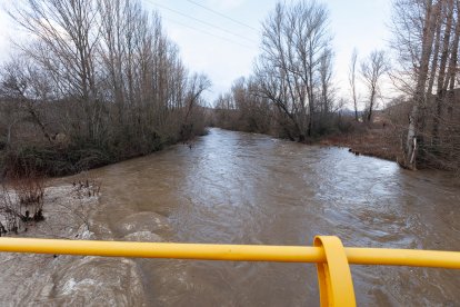 Crecida del río en Cascantes.
