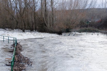 Crecida del río en Cascantes.