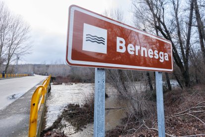 Crecida del río en Cascantes.