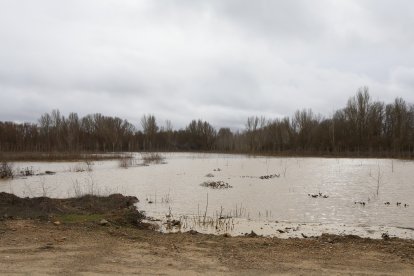 Crecida del río en Benamariel.