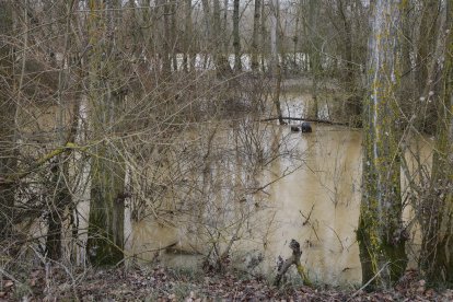 Crecida del río en Benamariel.