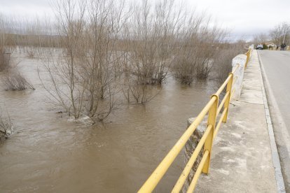 Crecida del río en Cebrones del Río.