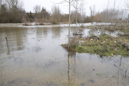 Crecida del río en Hospital de Órbigo.
