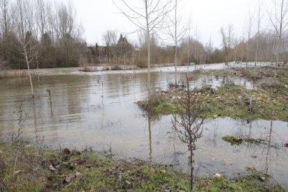 Crecida del río en Hospital de Órbigo.