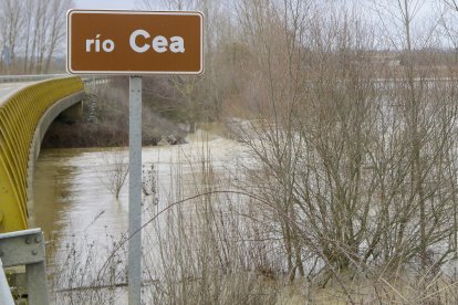 Crecida del río Cea en Sahagún.
