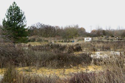 Crecida del río Cea en Sahagún.