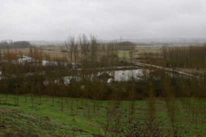 Crecida del río Cea en Sahagún.