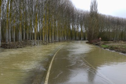 Crecida del río Cea en Sahagún.