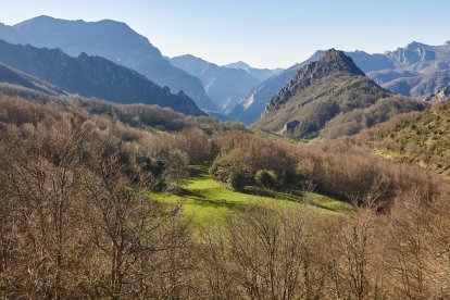 El valle de Sajambre, visto desde Oseja de Sajambre, es un mosaico de praderas, bosques y montañas que explica el carácter fresco y húmedo de esta zona del norte de León.