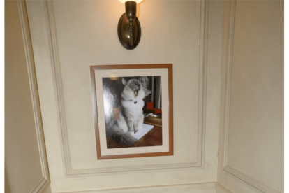 Las fotos desclasificadas del caso Epstein.
