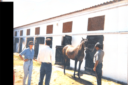 Las fotos desclasificadas del caso Epstein.