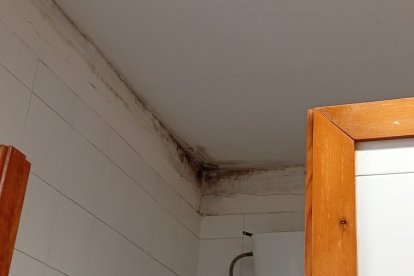 Moho en los baños del parvulario.